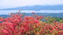 【Duolingo英語術】Section5-30 Discuss a trip in nature Part2